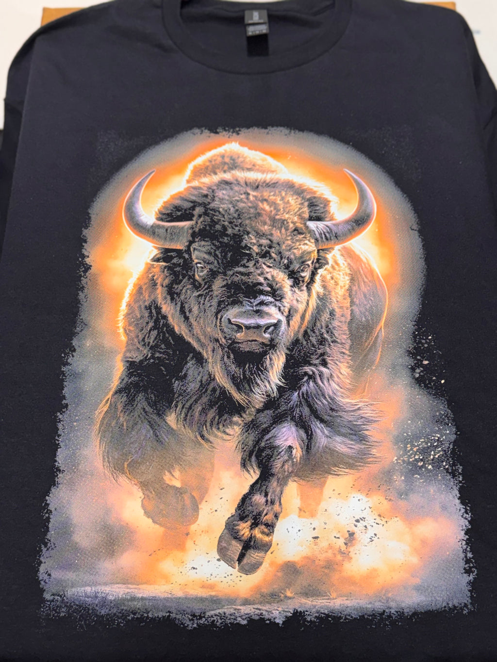 American Bison