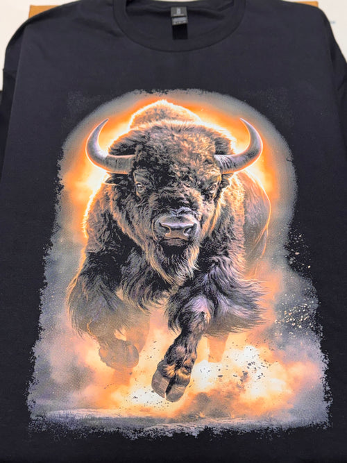American Bison